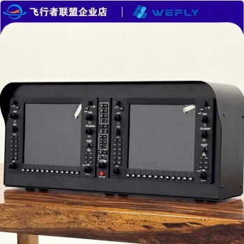 Wefly Panel Garmin G1000